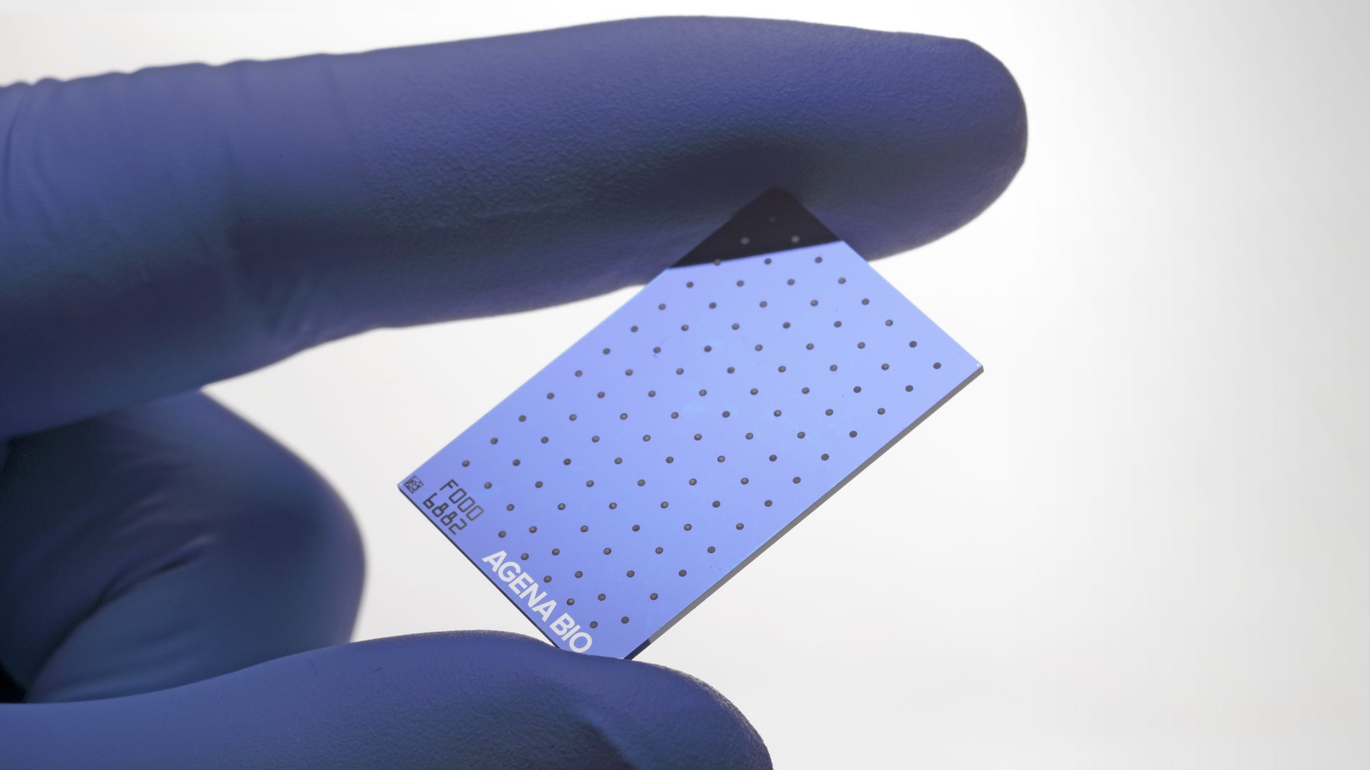 SpectroCHIP® — Analysechip der MassARRAY®-Plattform